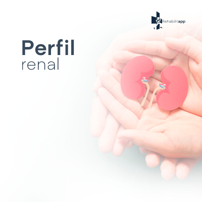PERFIL RENAL 
